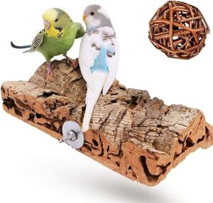 Wellensittiche auf Sitzbrett aus Kork. Schaukeln Zubehör und Spielzeug für Vögel.