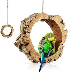 Wellensittich in Kork-Schaukel. Sitzbretter-Alternative: Natürliche Vogel-Schaukel aus Korkrinde für Papageien.