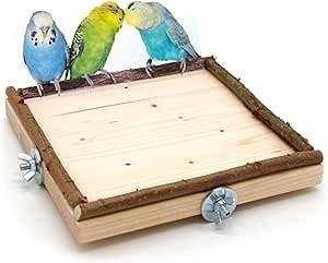 Drei Wellensittiche auf einem Schaukel-Sitzbrett. Holz-Sitzbretter mit Ast-Umrandung für Vögel.