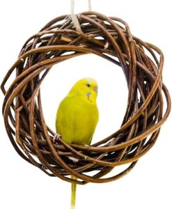 Gelber Wellensittich auf einer Schaukel aus Zweigen. Sitzbretter für Vögel.